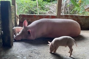 Đà Nẵng : visite privative de 4 jours à Hội An, Đà Nẵng et Bà Nà Hills