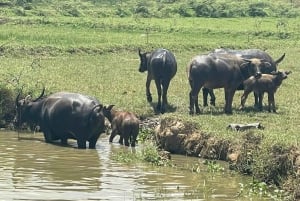 Đà Nẵng : visite privative de 4 jours à Hội An, Đà Nẵng et Bà Nà Hills