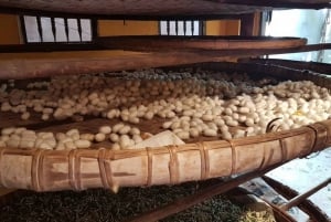 Da Nang/Hoi An: Discover Silk Process in Hoi An Silk Village