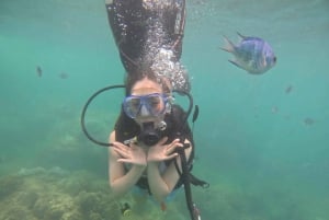 Da Nang/Hoi An: Nurkowanie na wyspach Cham z instruktorem