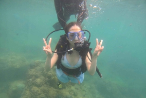 Da Nang/Hoi An: Nurkowanie na wyspach Cham z instruktorem
