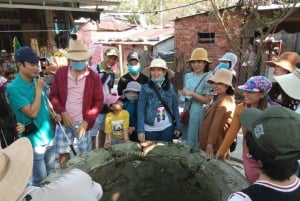 Da Nang/Hoi An: Nurkowanie na wyspach Cham z instruktorem