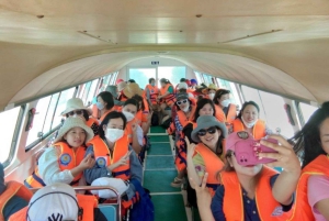 Da Nang/Hoi An: Nurkowanie na wyspach Cham z instruktorem