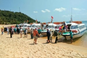 Da Nang/Hoi An: Nurkowanie na wyspach Cham z instruktorem