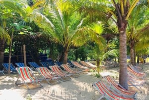 Da Nang/Hoi An: Nurkowanie na wyspach Cham z instruktorem