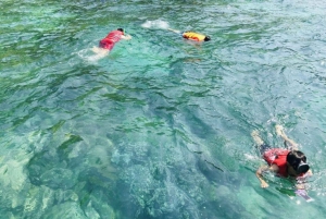 Da Nang/Hoi An:Explore Cham Island and Snorkeling tour 1 Day