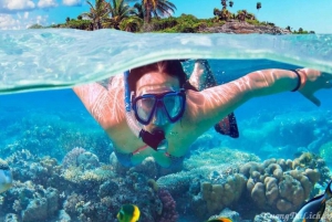 Da Nang/Hoi An:Explore Cham Island and Snorkeling tour 1 Day