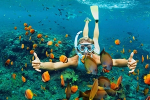 Da Nang/Hoi An:Explore Cham Island and Snorkeling tour 1 Day