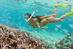 Da Nang/Hoi An:Explore Cham Island and Snorkeling tour 1 Day