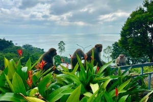 Da Nang/Hoi An: Lady Buddha – Marble Mountain mit Hell Cave