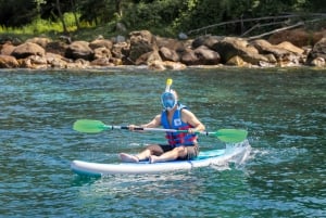 Da Nang: Linh Ung pagoda, Marina & Snorkelling tour