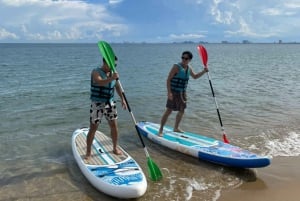 Da Nang: Linh Ung pagoda, Marina & Snorkelling tour