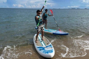 Da Nang: pagode Linh Ung, Marina e mergulho com snorkel
