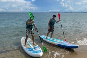 Da Nang: pagode Linh Ung, Marina e mergulho com snorkel