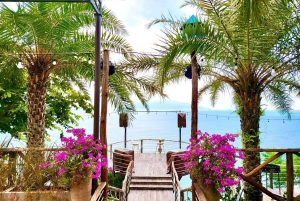 Da Nang: lokalne sashimi, przełęcz Hai Van i kawa Mountain Peak