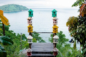 Da Nang: lokalne sashimi, przełęcz Hai Van i kawa Mountain Peak