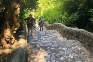 ダナン：五行山、モンキーマウンテン、ビーチツアーをご案内します