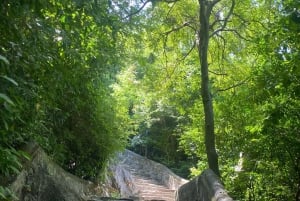 ダナン：五行山、モンキーマウンテン、ビーチツアーをご案内します