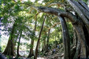 Da Nang: Isola delle Scimmie, snorkeling e parapendio