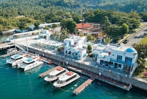Da Nang: Isola delle Scimmie, snorkeling e parapendio