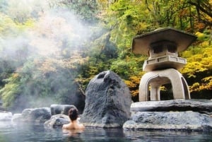 Đà Nẵng : visite d'une journée au parc aquatique de Than Tai