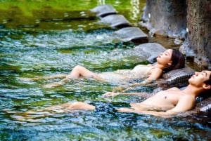 Đà Nẵng : visite d'une journée au parc aquatique de Than Tai