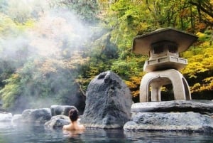 Da Nang: Nature, Fun & Wellness-Than Tai Water Park Day Tour