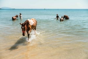 Da Nang: Experiência na natureza e passeio a cavalo