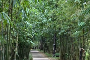 Da Nang: Experiência na natureza e passeio a cavalo