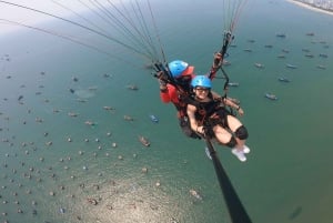 Da Nang Experiência privada de parapente na Montanha dos Macacos
