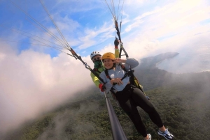 Da Nang Experiência privada de parapente na Montanha dos Macacos