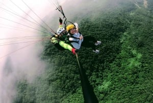 Da Nang Experiência privada de parapente na Montanha dos Macacos