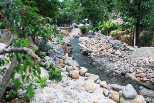 Da Nang : billet électronique pour le parc des sources thermales de Than Tai