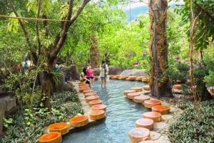 Da Nang: Biglietto elettronico per il parco delle sorgenti termali Than Tai