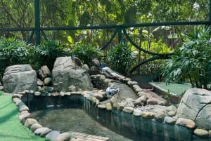 Da Nang: Vinpearl Nam Hoi An Private Tour with Guide