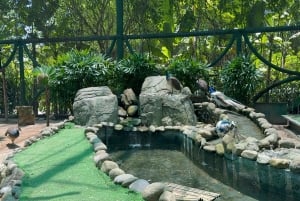 Da Nang: Vinpearl Nam Hoi An Private Tour with Guide