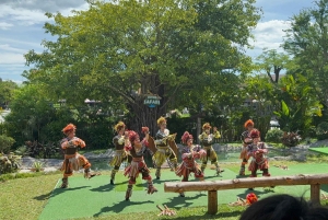 Da Nang: Vinpearl Nam Hoi An Private Tour with Guide