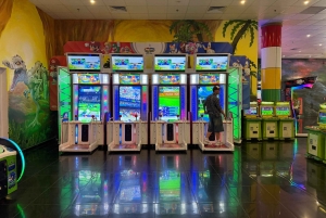 Da Nang: Vinpearl Nam Hoi An Private Tour with Guide