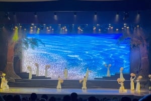 Da Nang: Vinpearl Nam Hoi An Private Tour with Guide