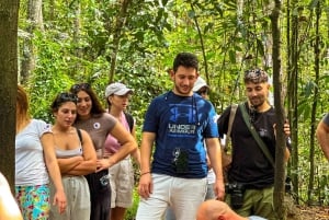 Small Group Tour: Ho Chi Minh City and Cu Chi Tunnels