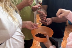 Dak Lak BMT Cacao Farm Tour