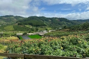 Dalat 2-Day Canyoning & Countryside, Mongo Land Tour