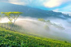 Dalat: Best of the Countryside Tour yksityisautolla: Best of the Countryside Tour yksityisautolla