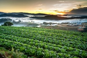 Dalat: Best of the Countryside Tour yksityisautolla: Best of the Countryside Tour yksityisautolla