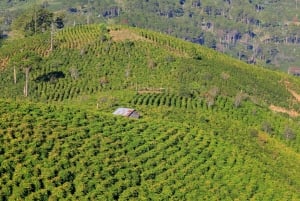 Dalat: Best of the Countryside Tour yksityisautolla: Best of the Countryside Tour yksityisautolla