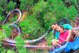 Stadsvandring i Dalat med Mario Kart, linbana, alpin berg-och dalbana...