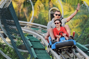 Stadsvandring i Dalat med Mario Kart, linbana, alpin berg-och dalbana...