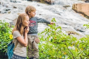 ダラットシティツアー with マリオカート、ケーブルカー、アルパインコースター..