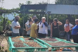 Oplev, hvordan man laver kaffe fra en bæredygtig gård i Dalat.