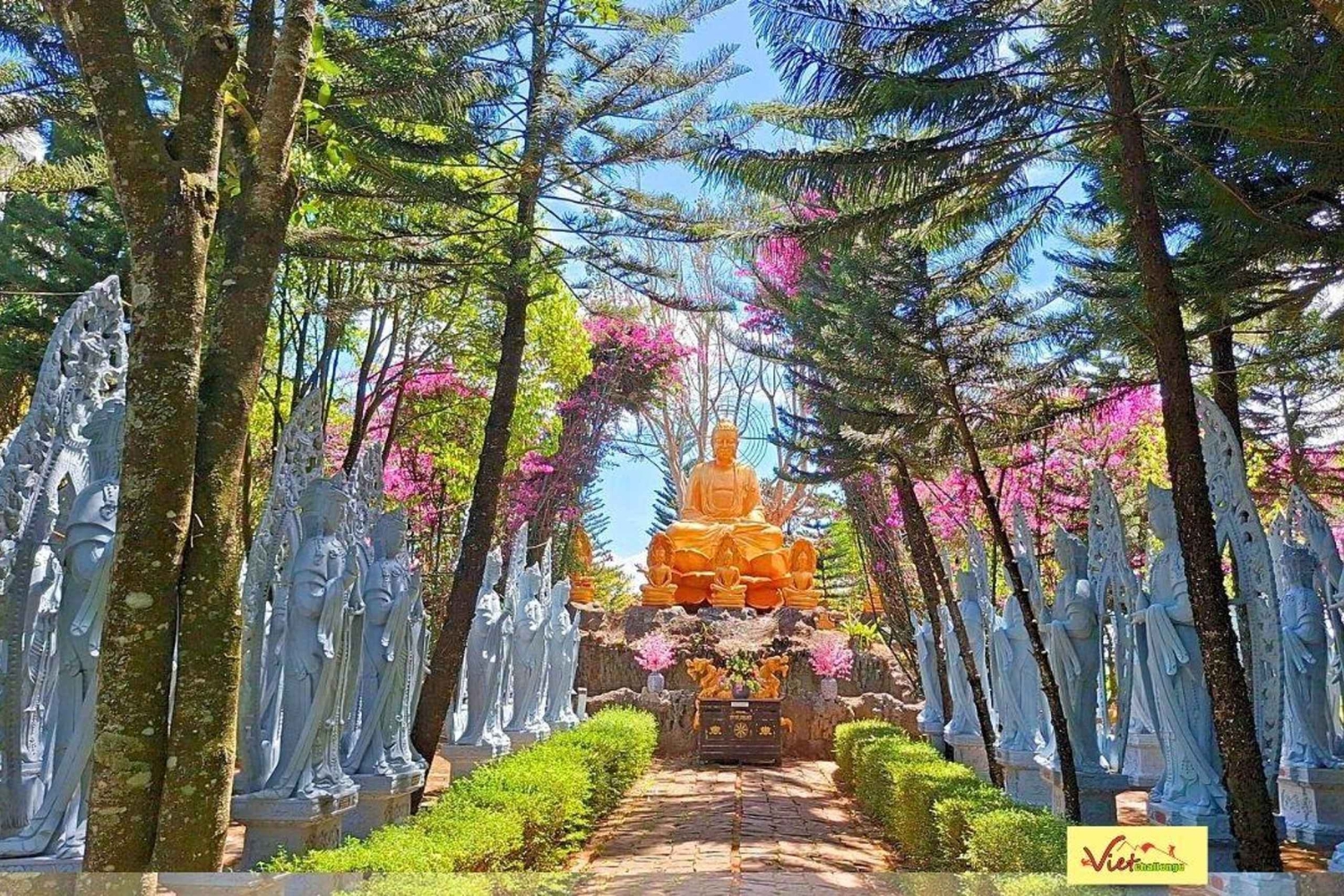 Visite en petit groupe de la campagne de Dalat et de la cascade de Pongour